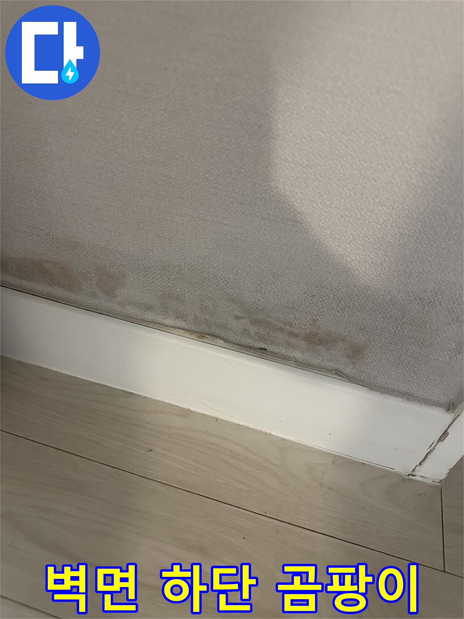아파트 벽지-하단부의 곰팡이와 습기로 인한 변색 부위