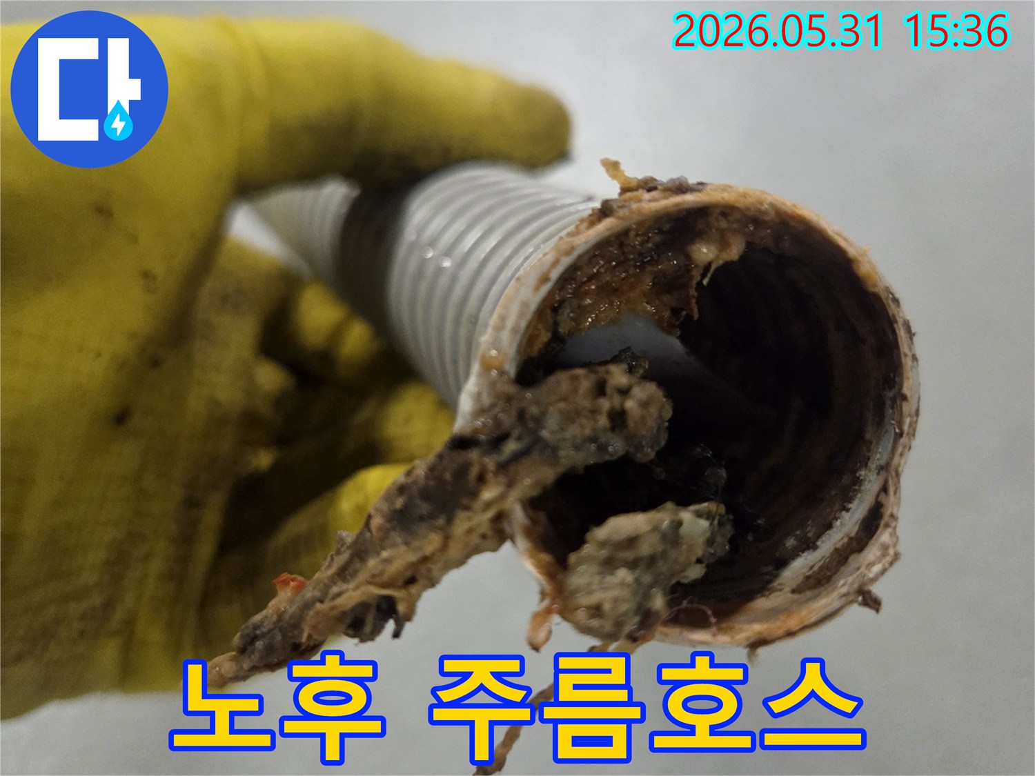 오랜 사용으로-노후되고-음식물 찌꺼기로-오염된-싱크대 주름호스 내부