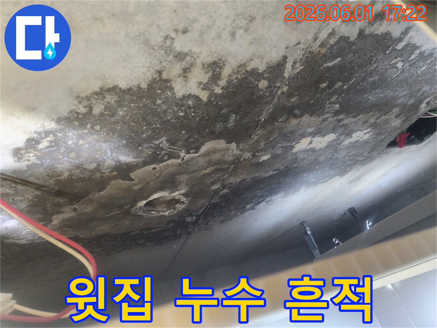 물샘 현상으로-천장 콘크리트가 젖어있고-오래된 누수 흔적으로-곰팡이가 광범위하게-퍼져있는 모습입니다.