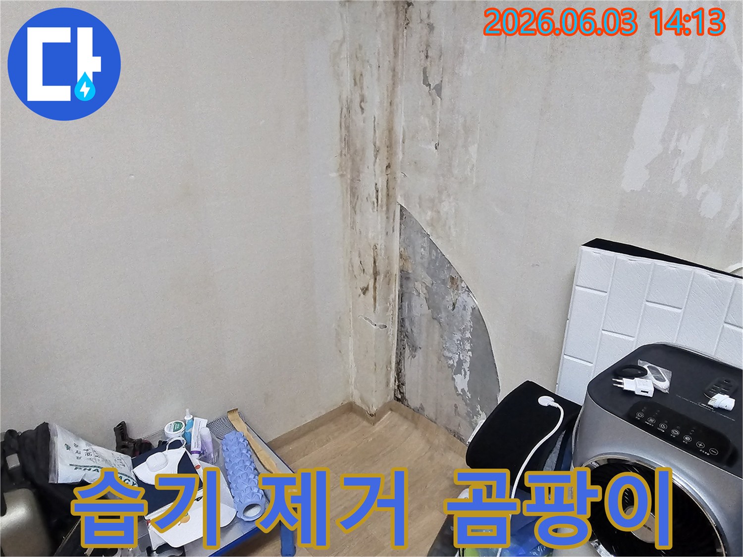 주택-벽면에-누수로-인한-심각한-곰팡이-오염-현장을-습기-제거-전에-촬영한-사진입니다