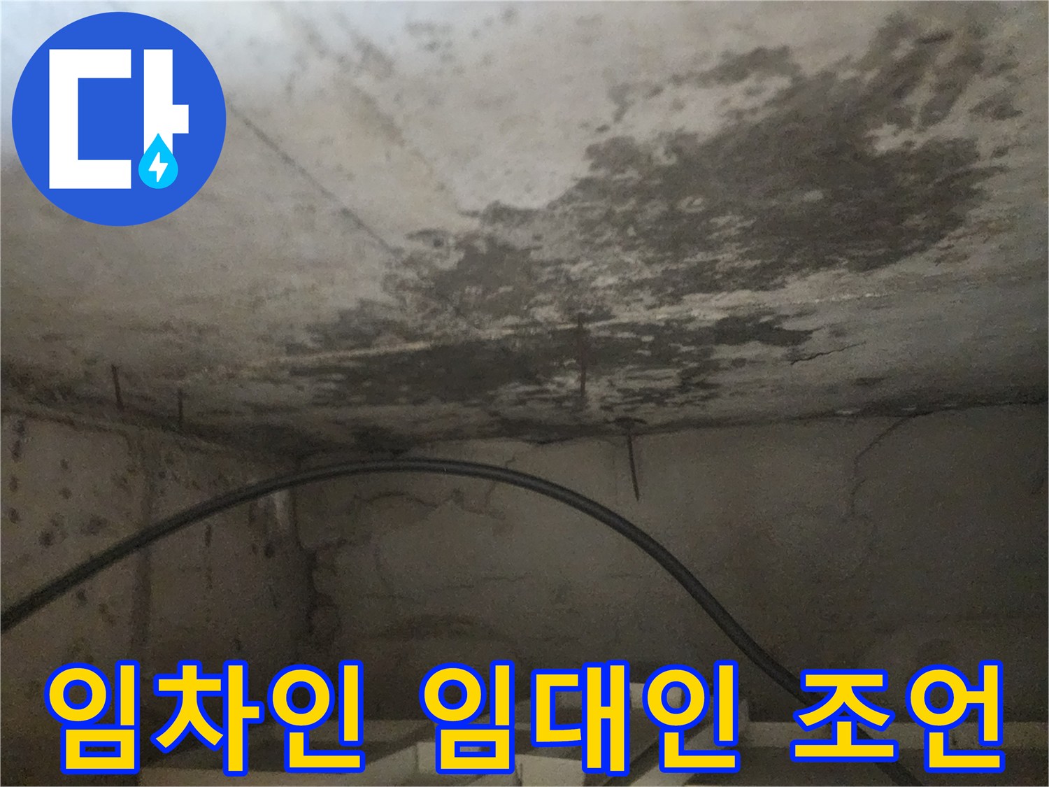 천장 누수 현장을 통해-임차인과 임대인 간의 책임 소재와-해결 방안을 설명하는 사진입니다.