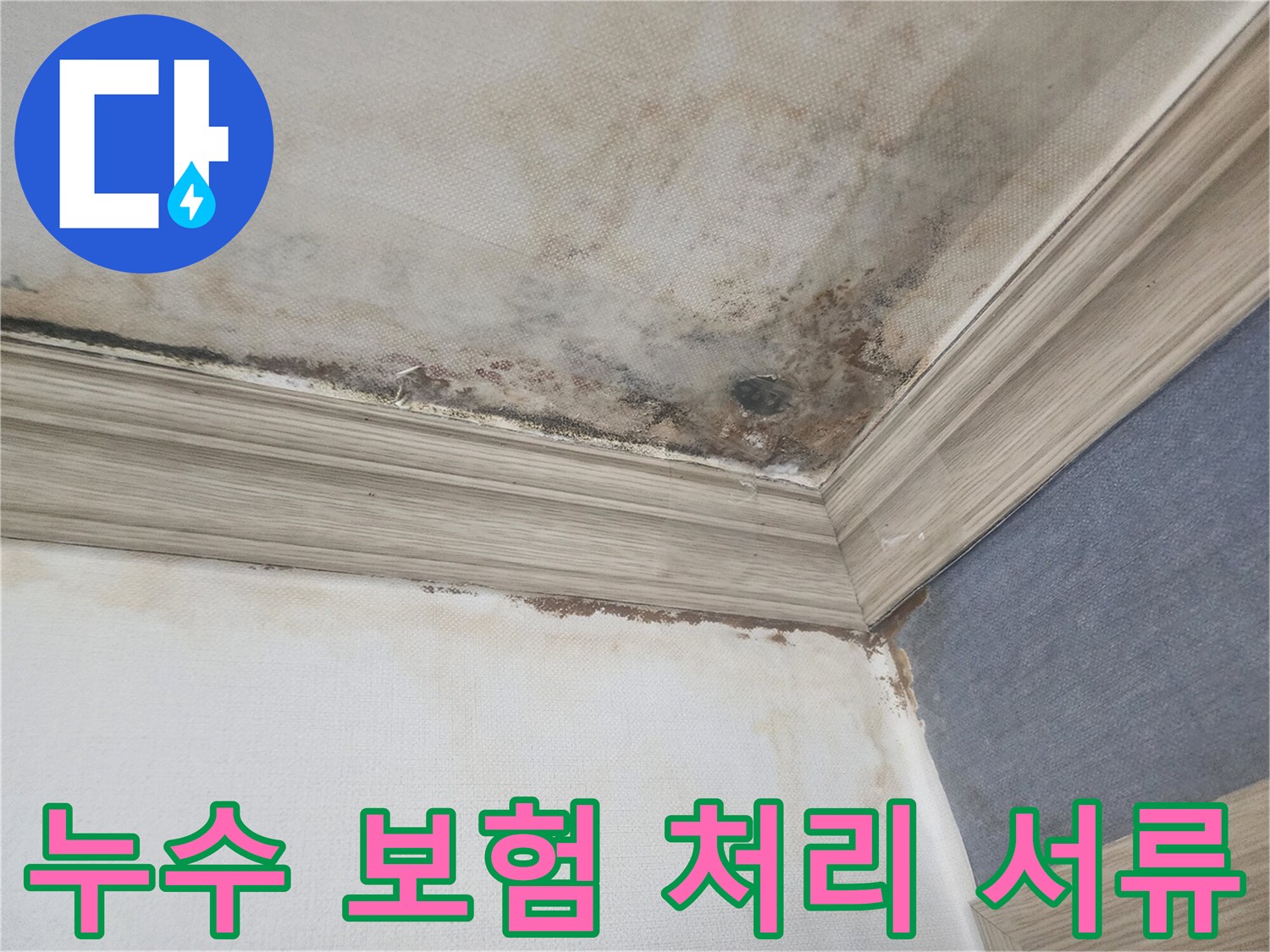 평택 아파트 천장 누수로-인해 발생한 곰팡이와-물자국은-보험 처리를 위한-서류 준비를 돕고 있습니다.