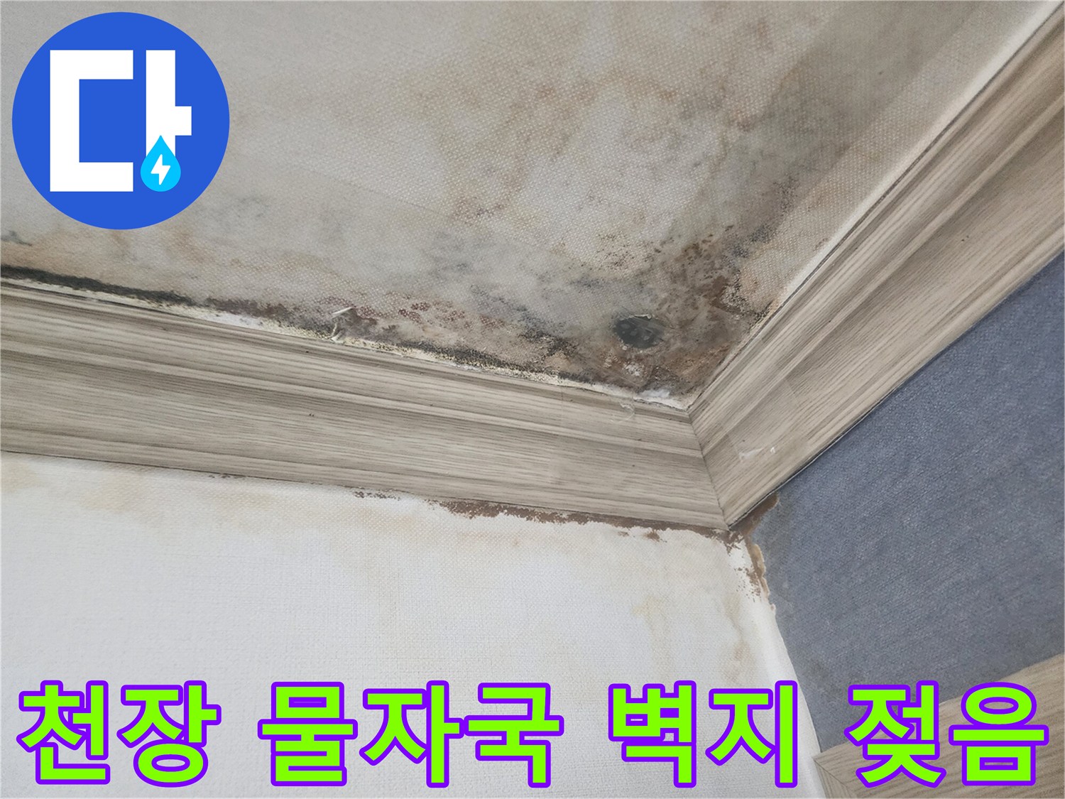 평택 아파트 천장에 생긴 물자국과-벽지가 젖은 현장은-정밀한 누수 진단이 시급함을 보여줍니다.