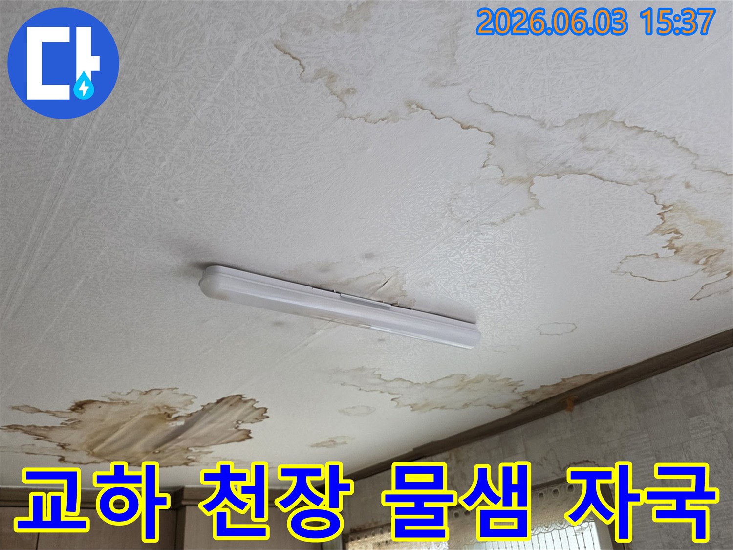 파주 교하 지역-천장에 물이 새어 얼룩진-누수 현장 사진