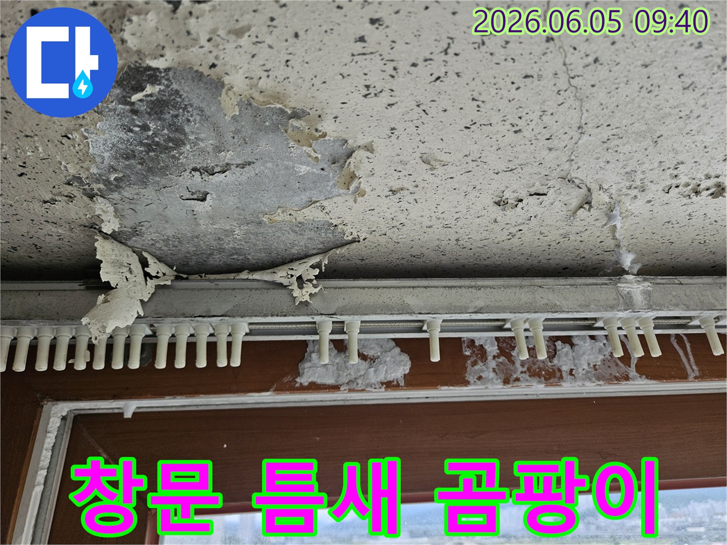 창문 아래 벽면에서-오랜 누수로 인해-페인트가 벗겨지고-곰팡이가 번식한-심각한 손상 현장
