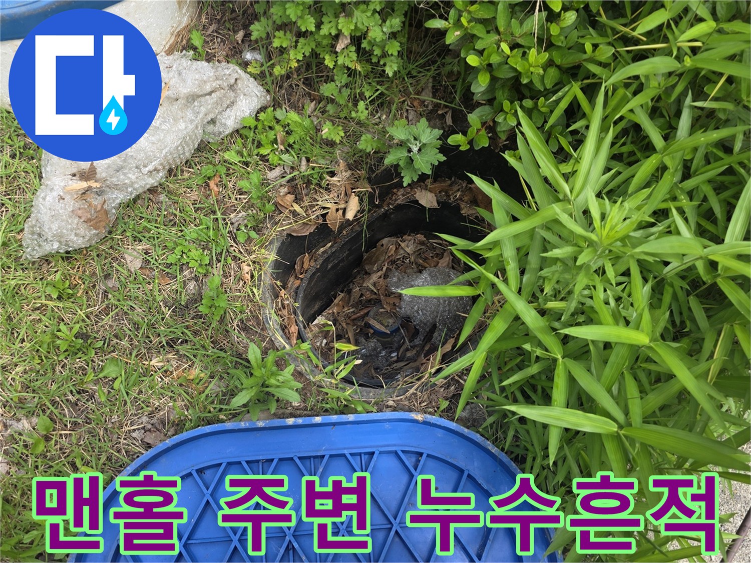 파란색 덮개와 맨홀 주변의 물에 젖은 흙과 식물들