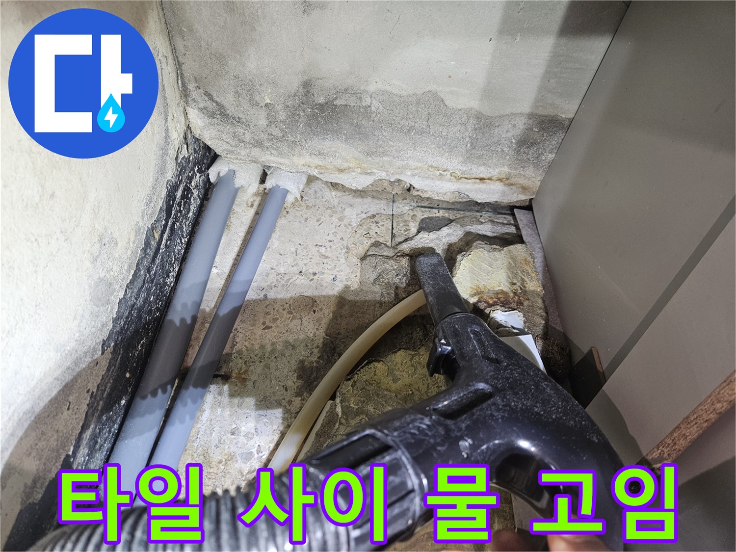 탈의실 샤워실-습기가 가득한 배관 주변 타일 틈새
