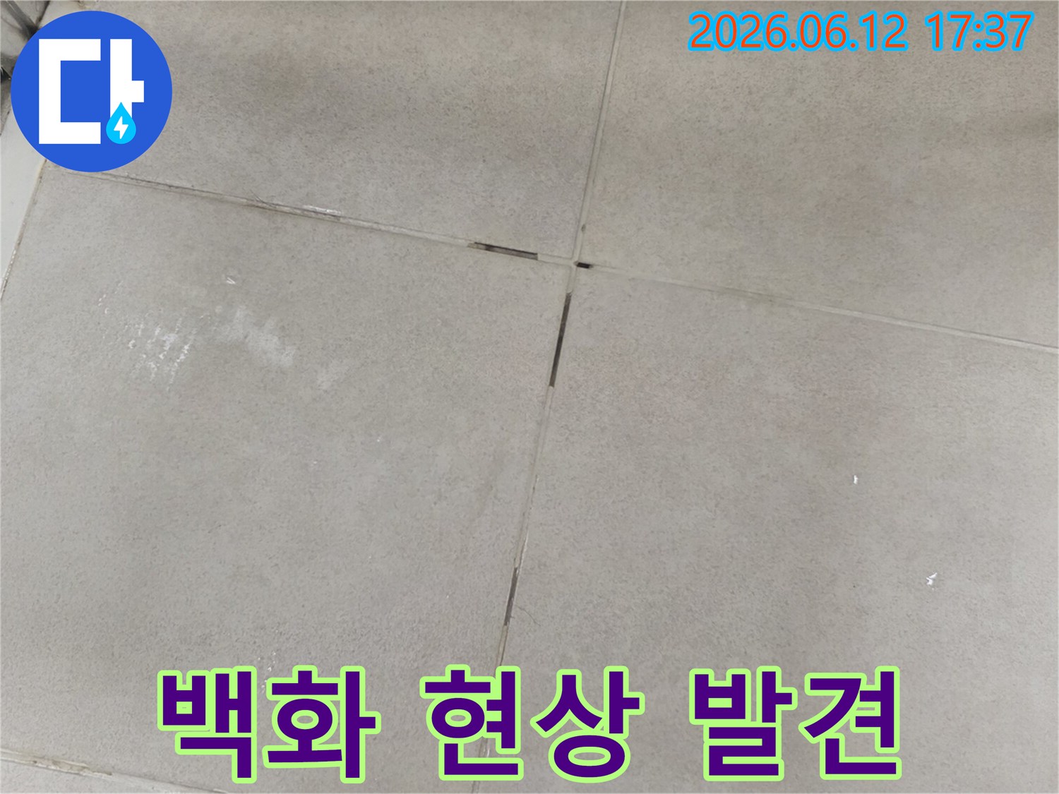 타일 줄눈에 발생한 백화 현상을-전문가가 면밀히 관찰하여 누수 여부를 판단