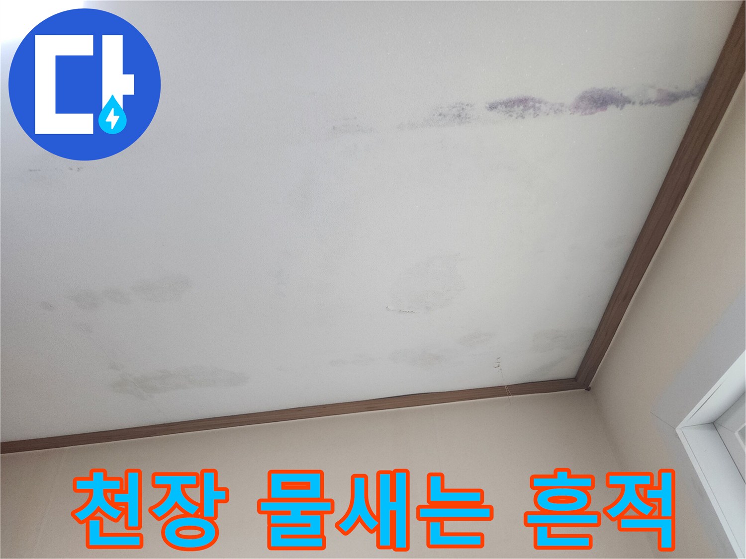 천장에서 물이-새어 나와-얼룩진 모습을-보여주는 사진