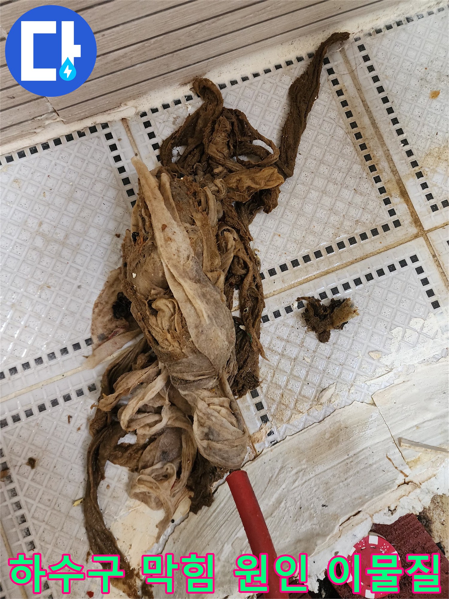 상계동 현장에서 인양된 머리카락과 섬유 찌꺼기가 뒤섞인 슬러지