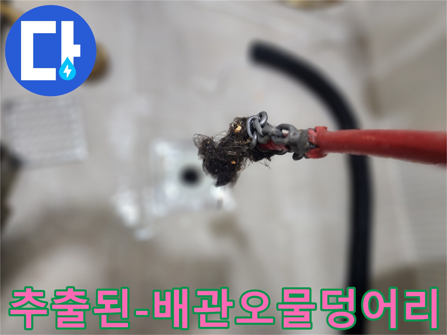 하수구-스케일링-후-발견된-머리카락-및-슬러지