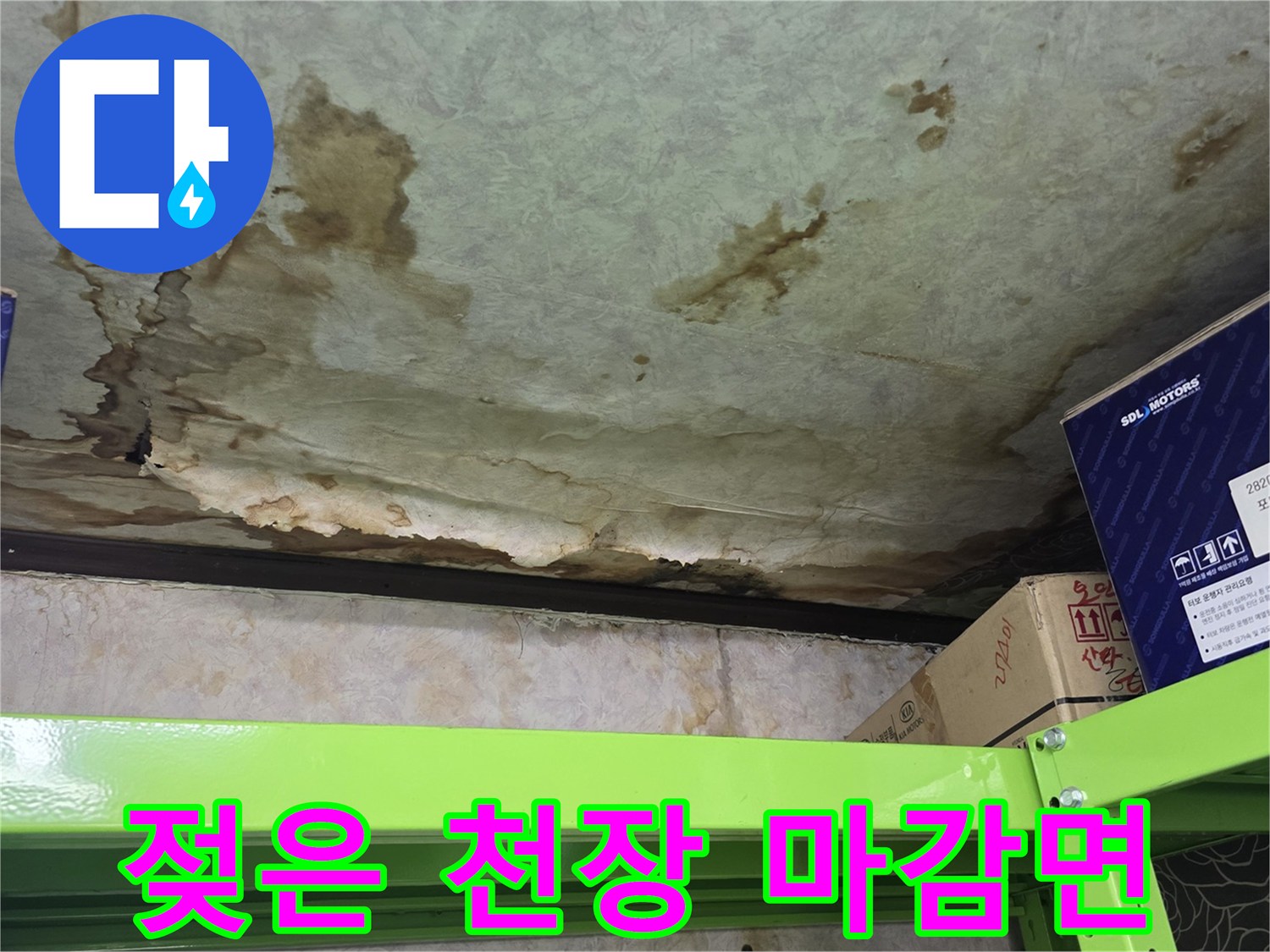 누수로 인해 젖어 있는 지하 창고의 천장 콘크리트 면