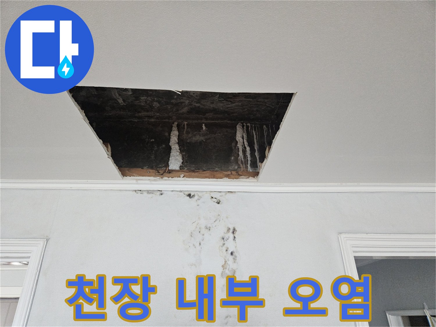 천장-점검구-안쪽-석회-고드름과-벽면-누수-흔적