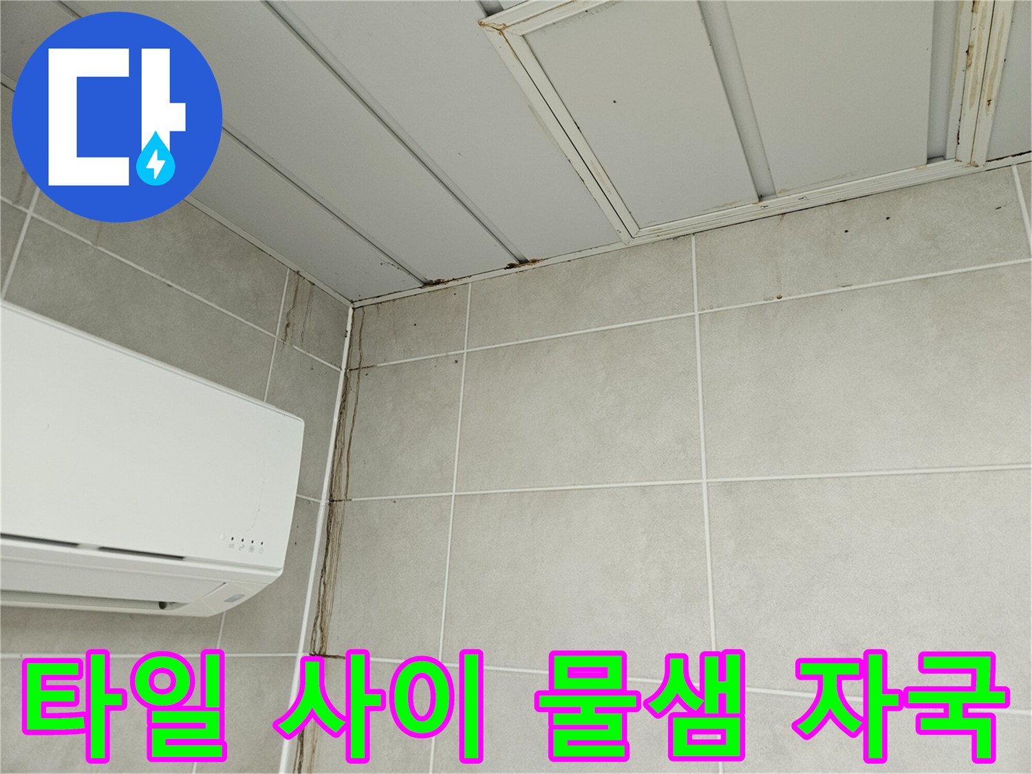 물에 젖어 변색된 세탁실 타일 줄눈 부위