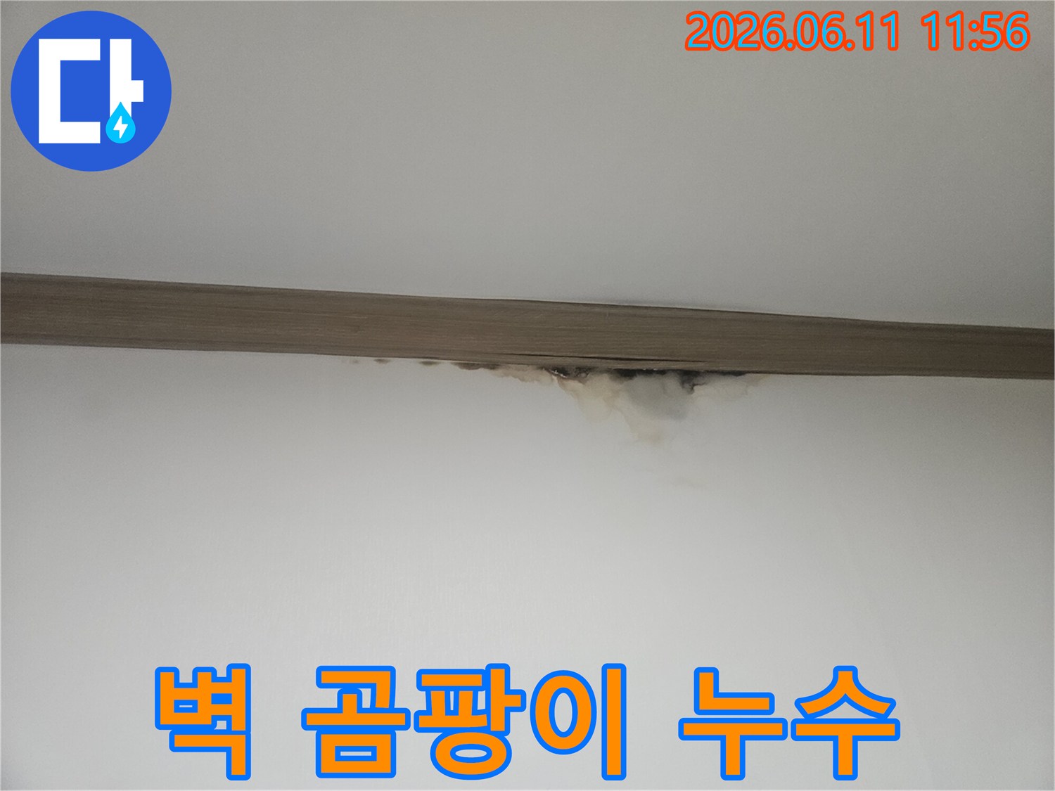 벽과 천장 경계에-물자국과 검은 곰팡이가 생긴-누수 피해 현장