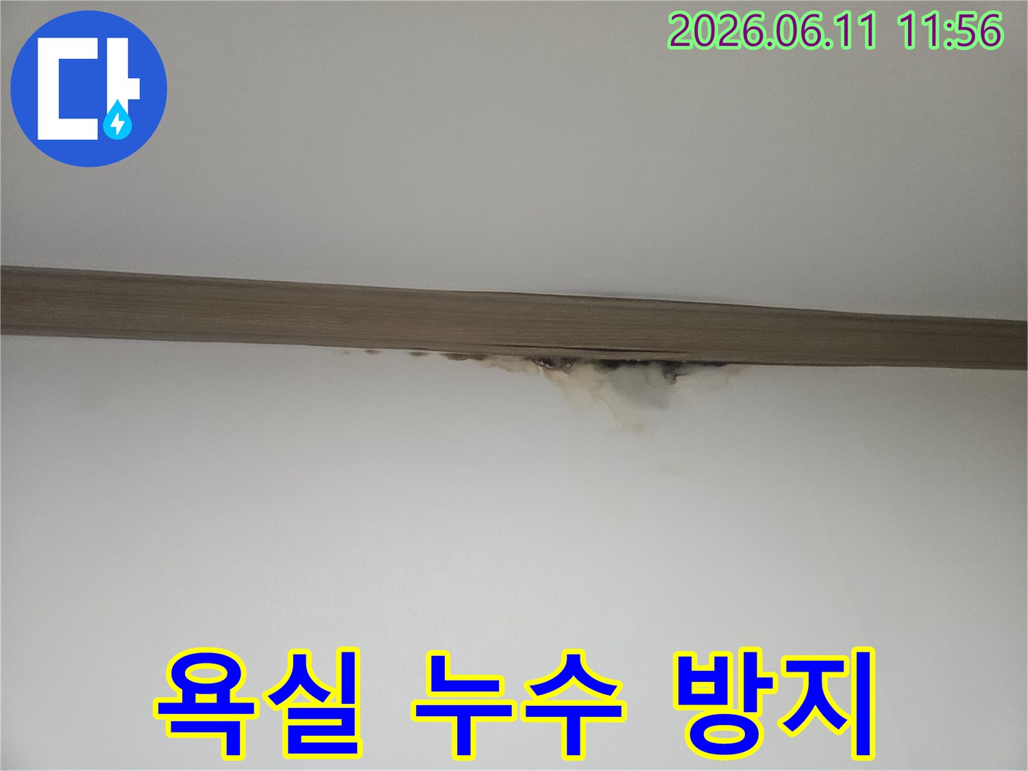 천장과 벽의 경계에-누수로 인한 물자국과-곰팡이가 발생하여-욕실 누수가 의심되는 현장