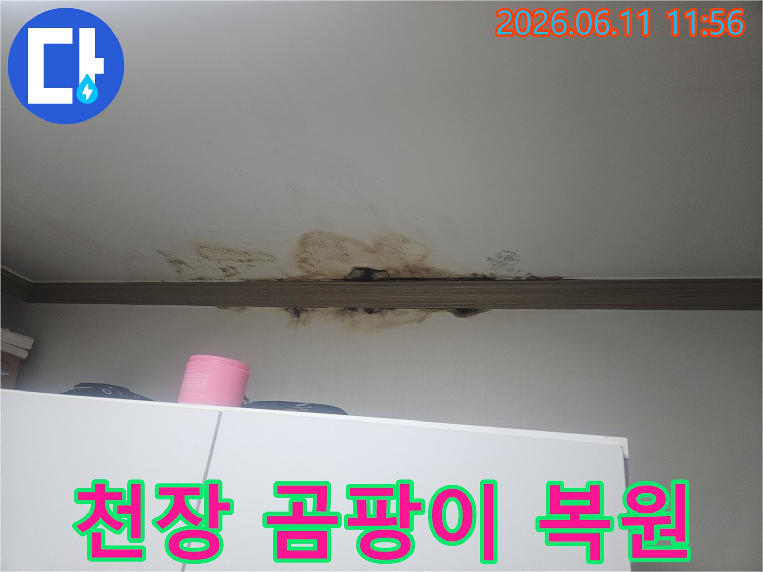 천장에서 물이 새어-곰팡이가 심하게 번진-건강에 해로운 누수 현장