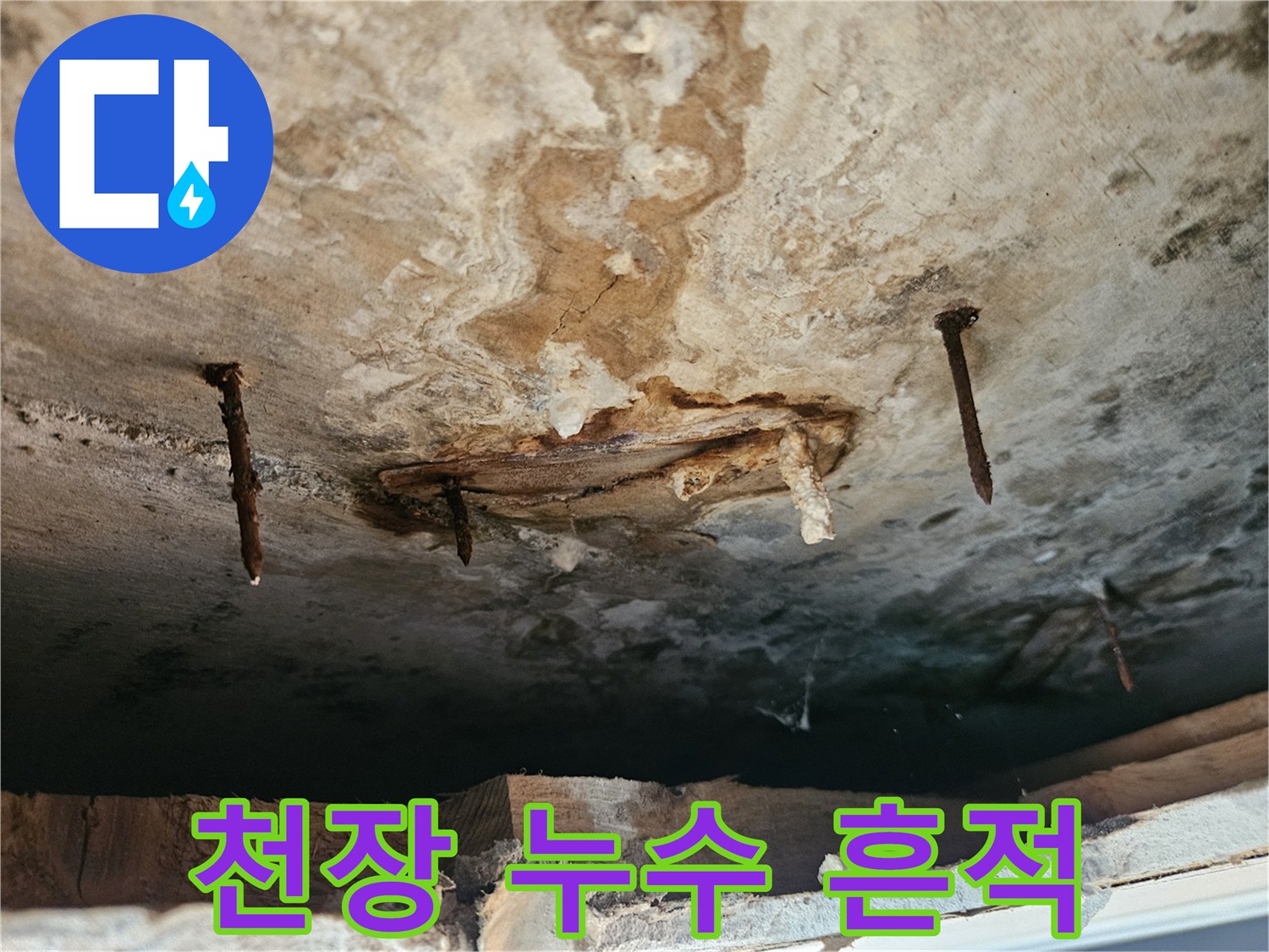 동작구-사당동-아파트-천장-누수-및-곰팡이-발생-상태
