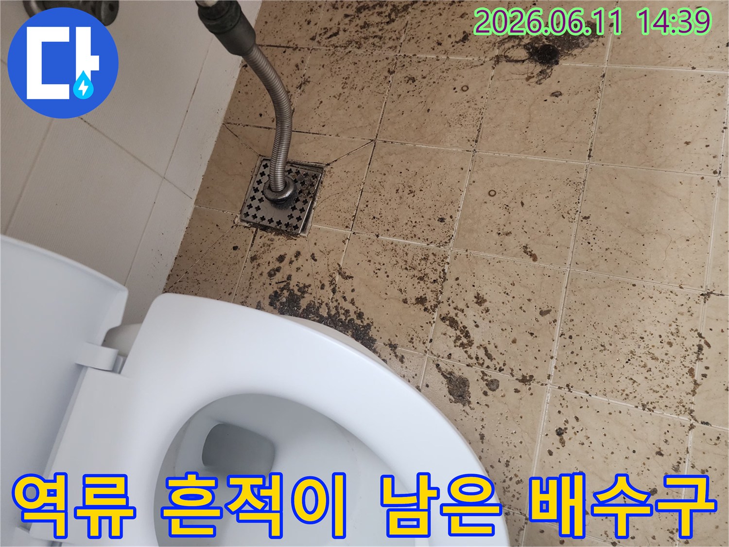 변기 하단 배수구 주변의 심한 오염과 역류 자국을 촬영하였습니다.