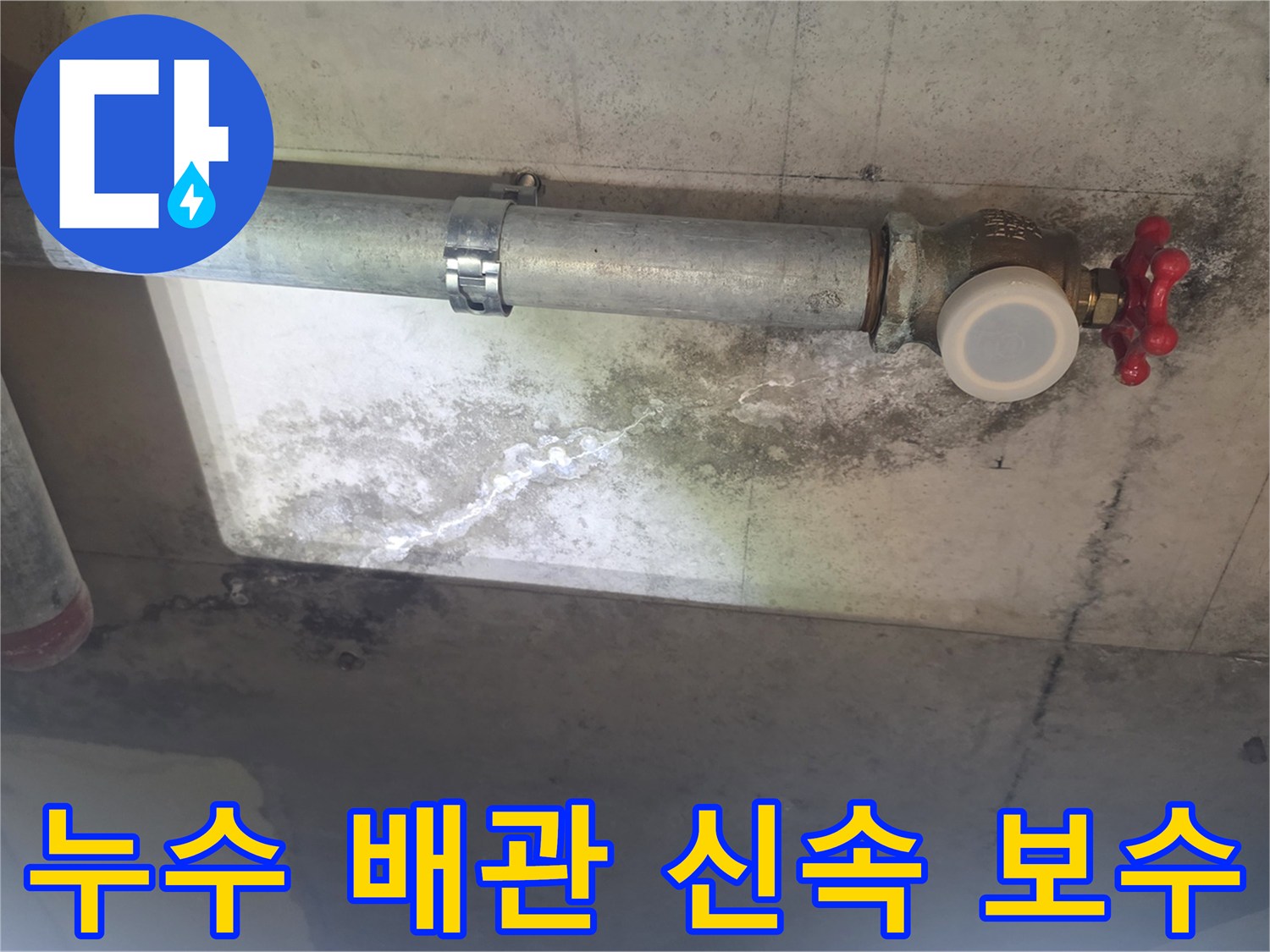 이 사진은 낡은 배관에서 물이 새어-천장 콘크리트에 스며들어-하얀 물 자국과-검은 곰팡이가 생긴 모습입니다