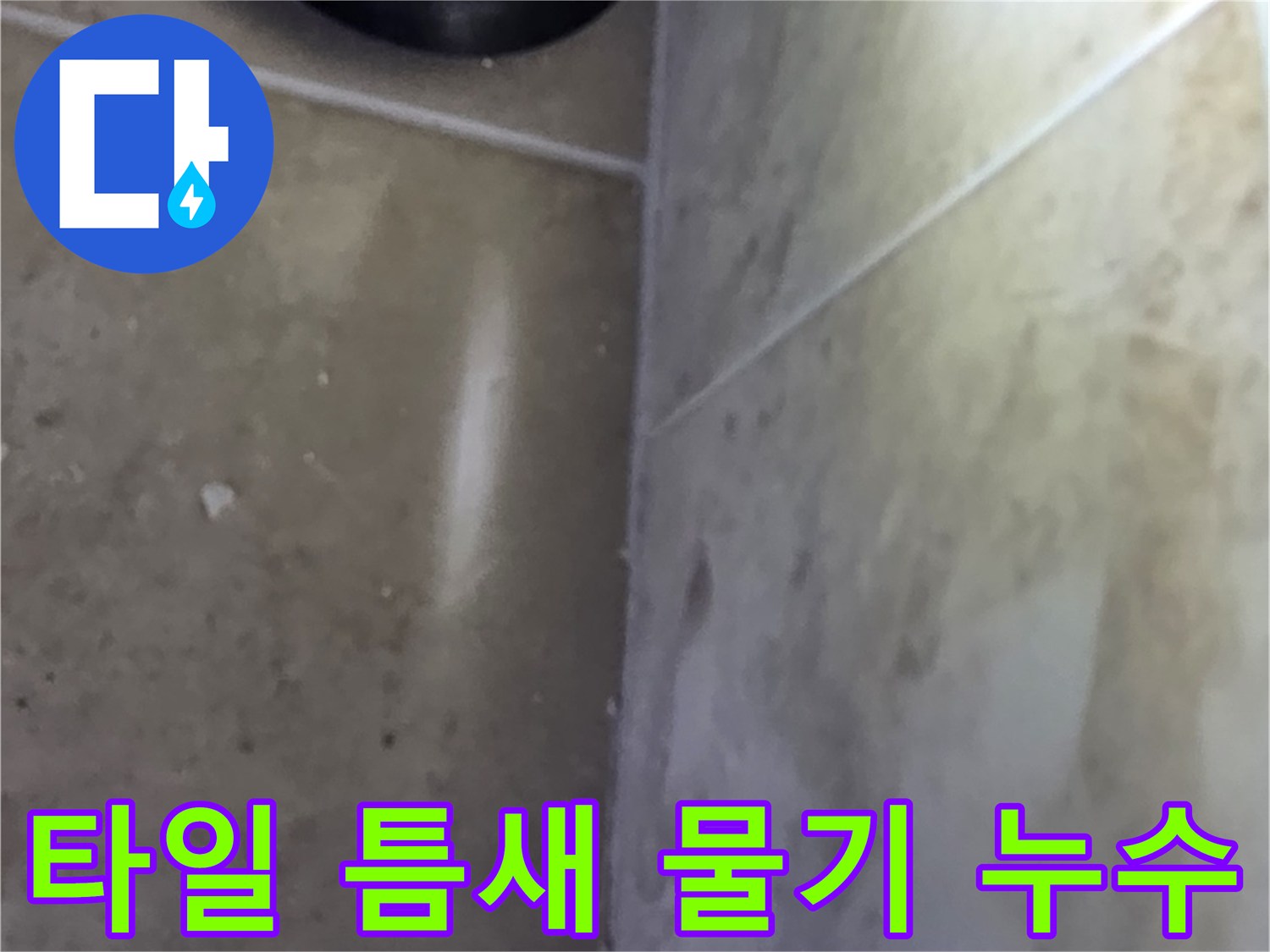 타일 사이 틈새에서 발견된 물기로-누수 발생 지점을 파악하는 현장 사진
