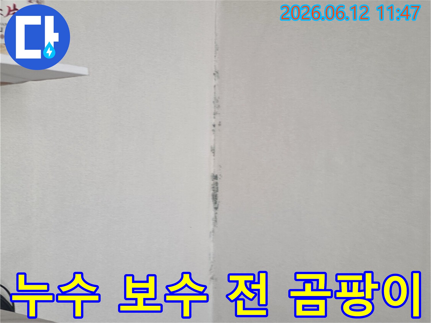 천장 모서리에 검은 곰팡이가 길게 번져 있어-누수 문제로 인한 보수 작업이 시급함을 보여줍니다.