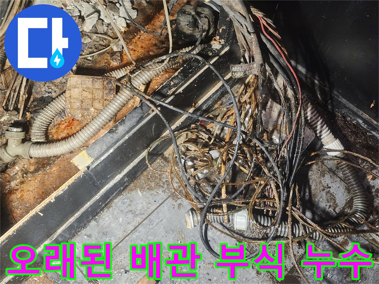 누수-엔지니어가-오래된-배관의-심각한-부식-상태와-주변-누수-흔적을-정밀하게-조사하며-원인을-파악하고-있습니다