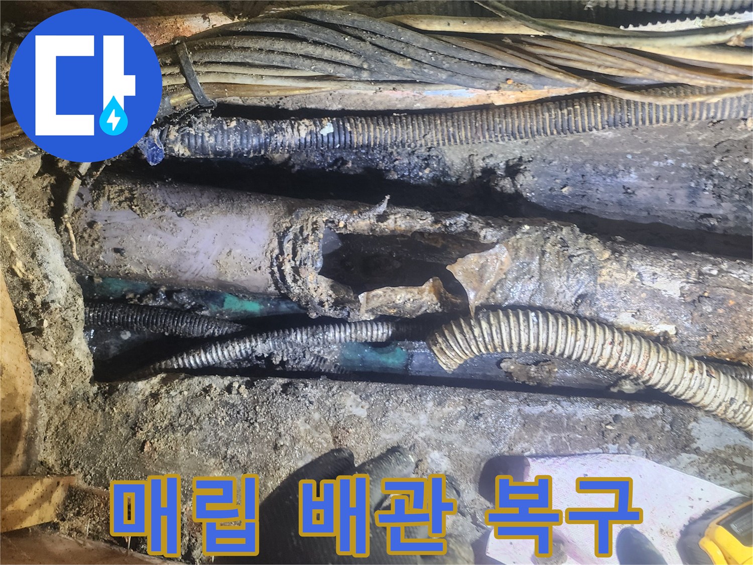 땅속에-매립된-배관이-광범위하게-파손되어-누수가-발생한-현장을-전문가가-복구-작업하는-모습
