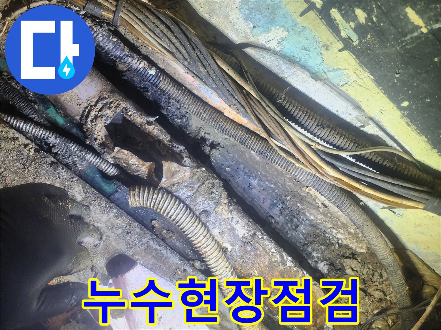 오래된-건물-지하에서-발견된-배관-파열-현장과-탐지-작업