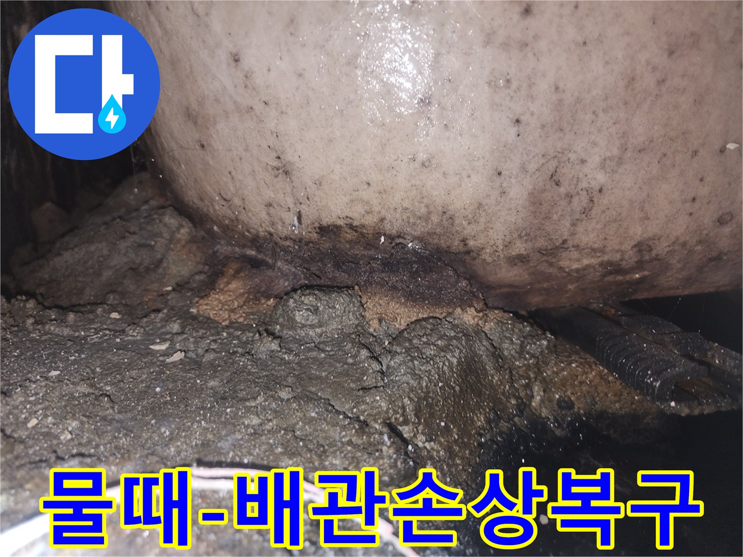 누수 지점에서 발생한 곰팡이와 물때-그리고 부식된 배관의 심각한 상태