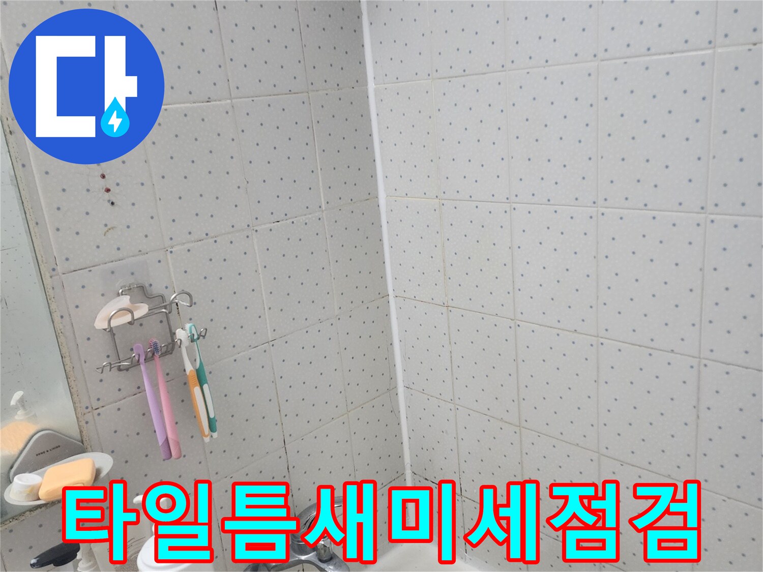 한신아파트-욕실-누수-타일-사이-미세한-틈새-정밀-점검-모습