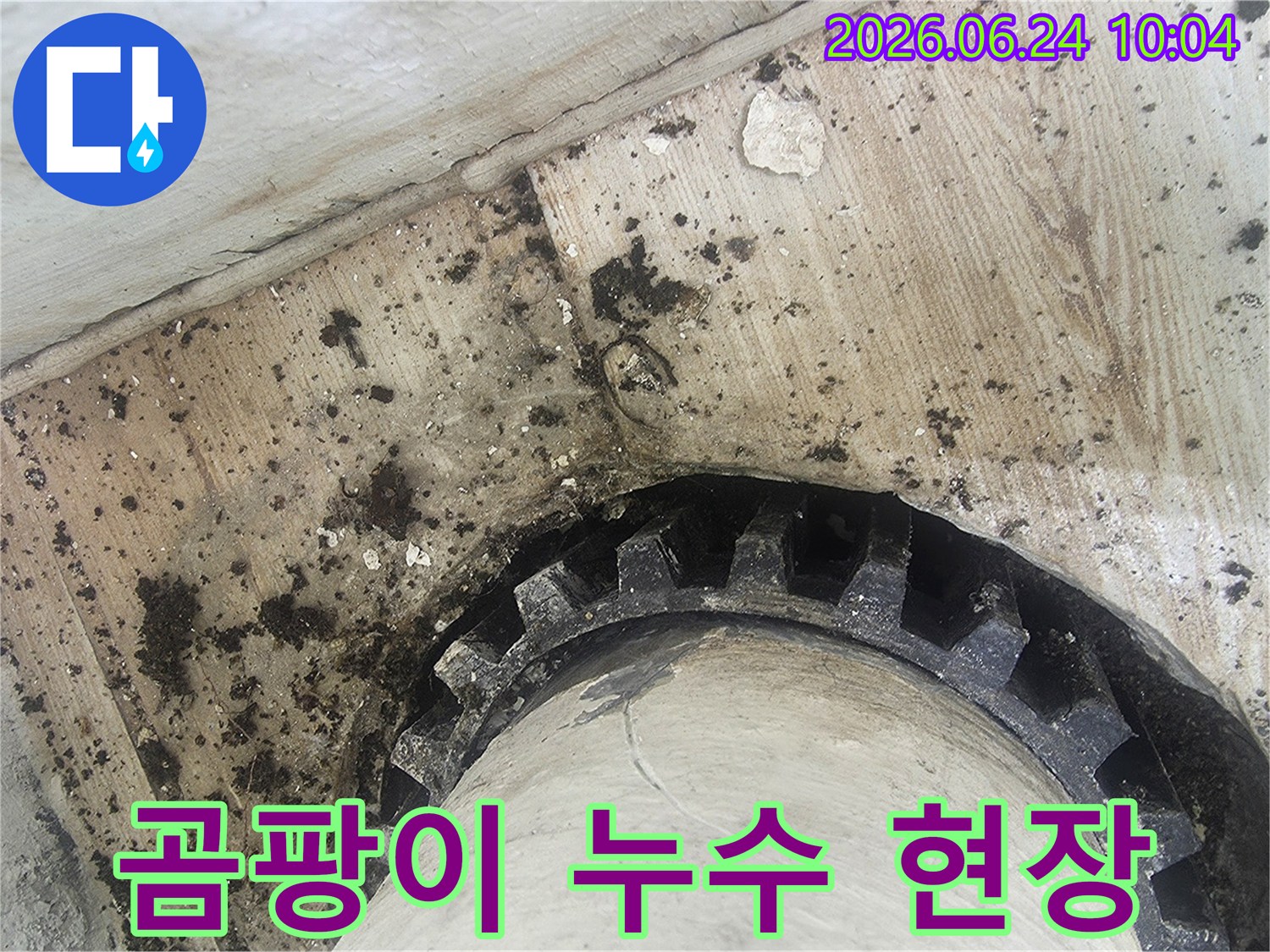 오래된 배관 주변에-물이 새어-검은 곰팡이와-물때가 심하게-생긴 모습을-보여주는 누수 현장