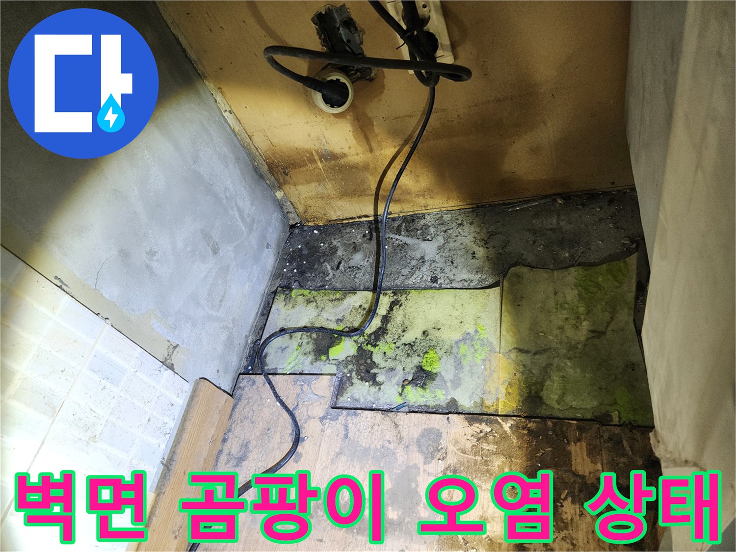 송파구 현장-벽면 하단부의 심한 곰팡이와 습기 흔적
