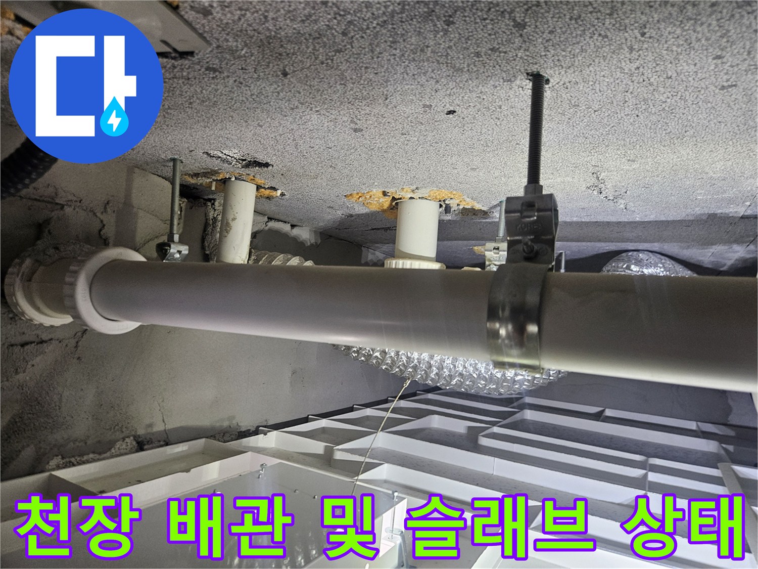화장실-천장-슬래브-및-배수-배관-육안-진단