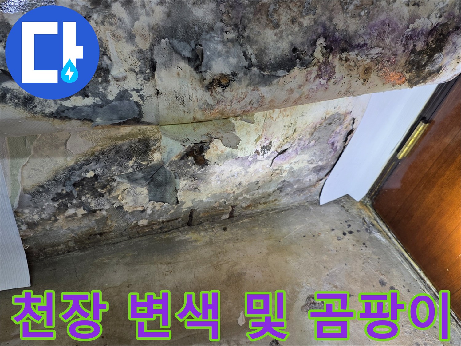 가양동 현장의-천장-변색과-곰팡이-상태