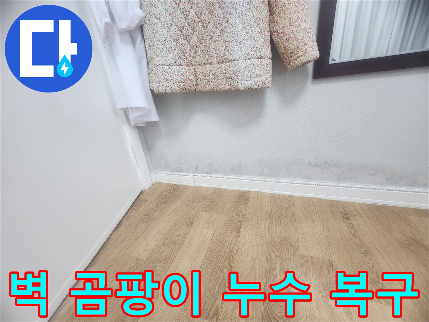 벽 하단에 발생한 곰팡이와-젖은 흔적은-누수가 진행되고 있음을 보여주며-누수 탐지 후 완벽한 복구가 필요합니다.