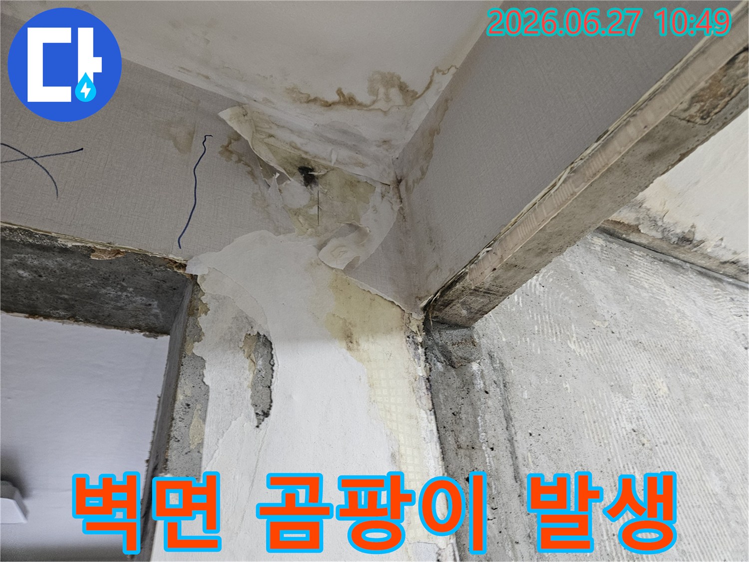 오랜-기간-누수로-인해-벽지에-생겨난-심각한-곰팡이와-물자국-현장