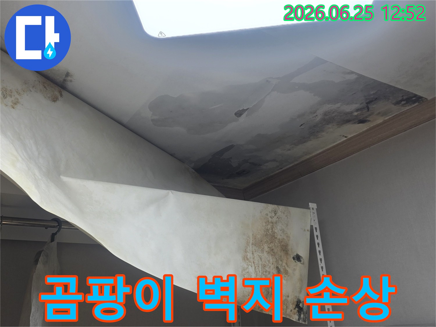 물기로 인해 손상된-천장과 벽지의-곰팡이 발생 현장을-정밀하게 촬영한 사진입니다