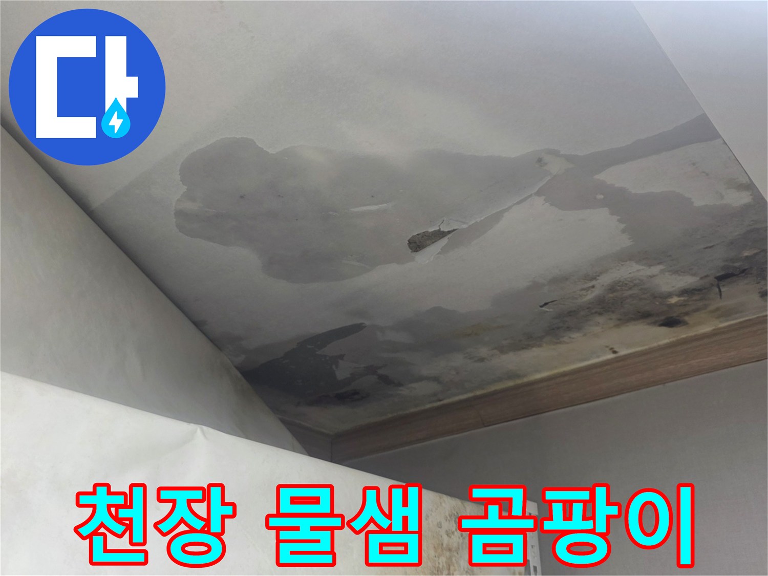 이 사진은 천장에서 물이 새고-벽지에 곰팡이가 번진 심각한 누수 상황을 보여줍니다.