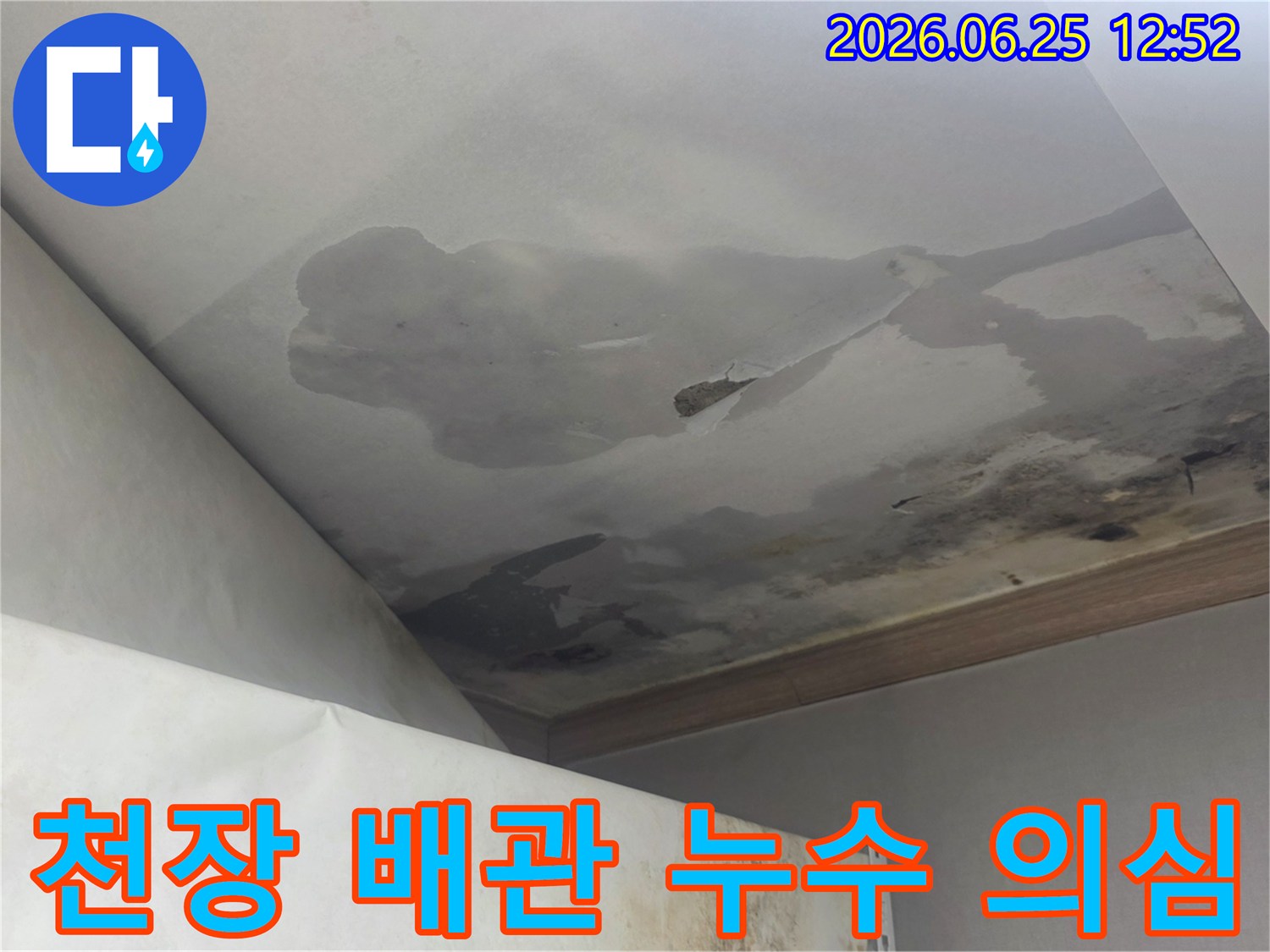 천장 마감재가 물에 젖어 심하게 변색되고 일부는 파손된 누수 현장