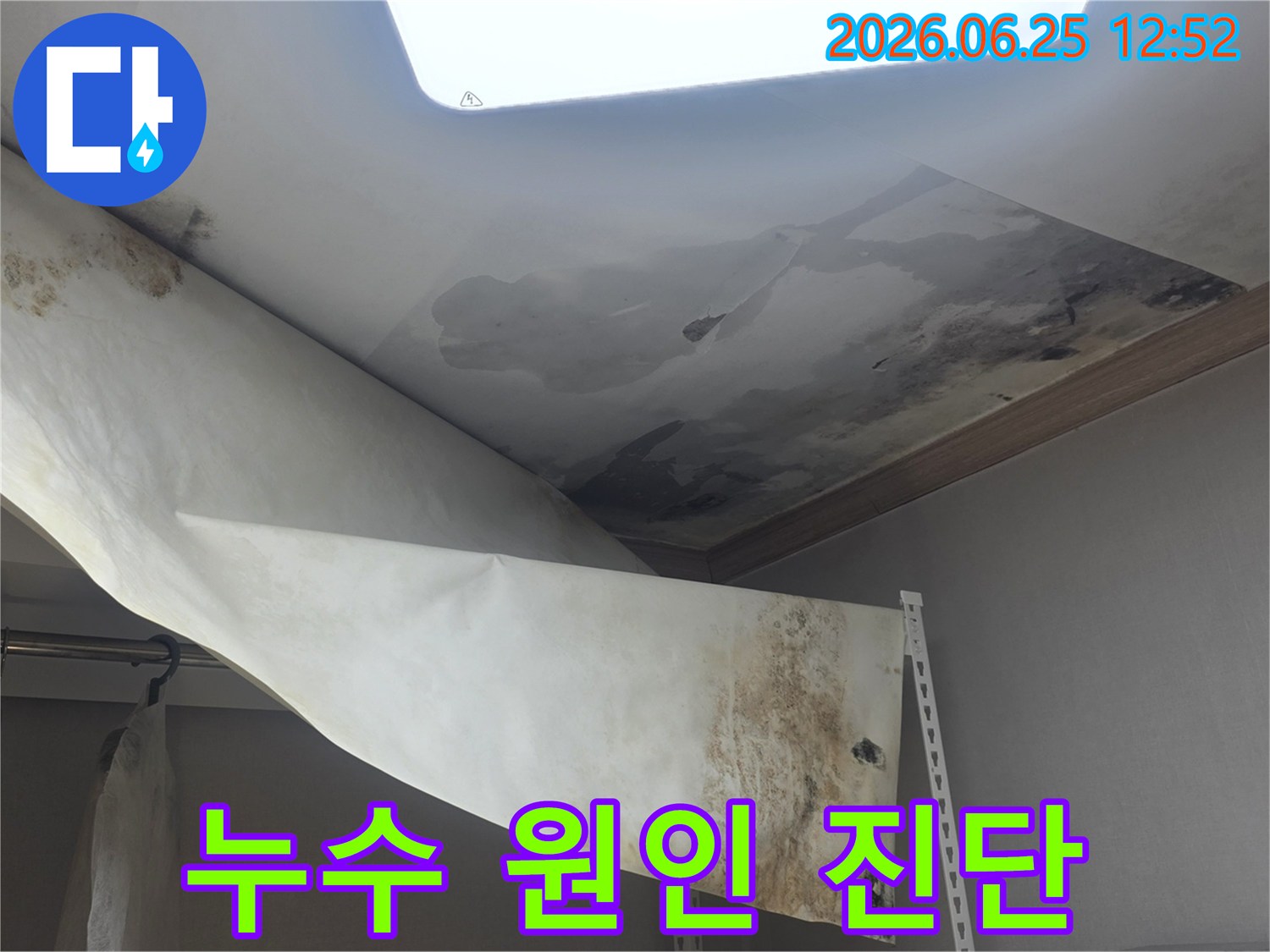 천장 벽지가 물에 젖어-떨어져 내리고-심한 곰팡이가 발생한-누수 현장 사진입니다