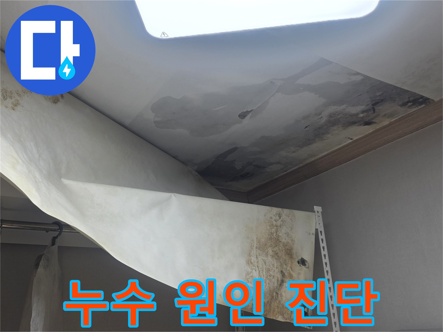 천장 벽지가 물에 젖어-떨어져 내리고-심한 곰팡이가 발생한-누수 현장 사진입니다
