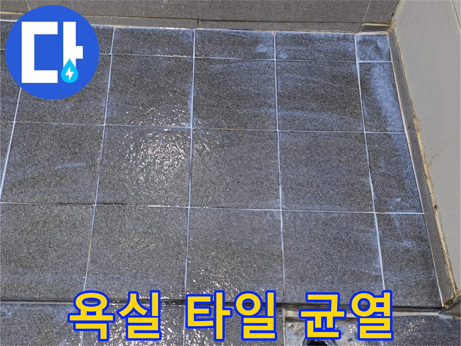 배수구 유가 주변의 벌어진 타일 틈새와 배관 노출