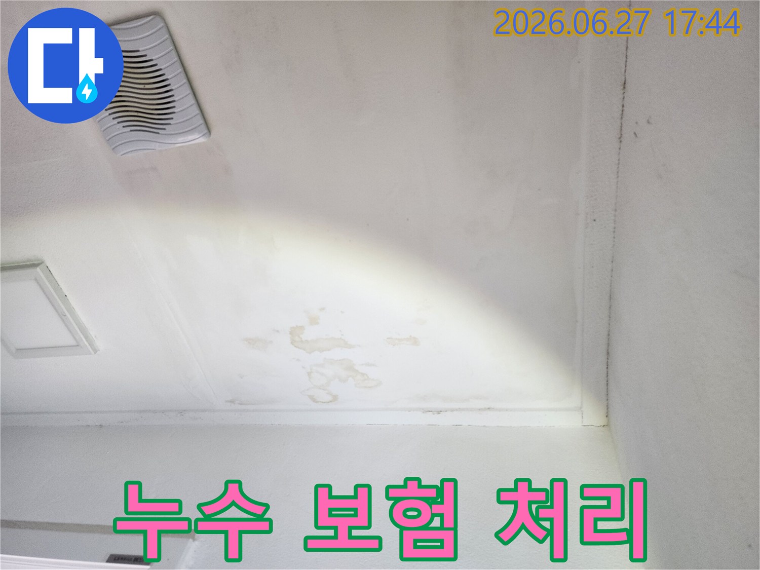 천장-누수로-인한-물자국과-곰팡이-발생-현장-사진