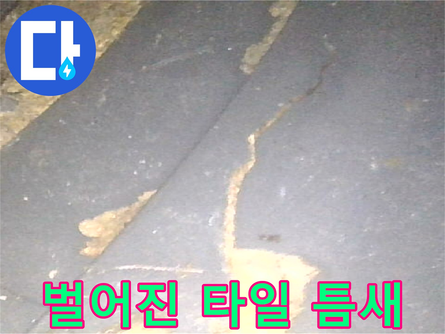 배수구-주변-타일-틈새-누수-위험
