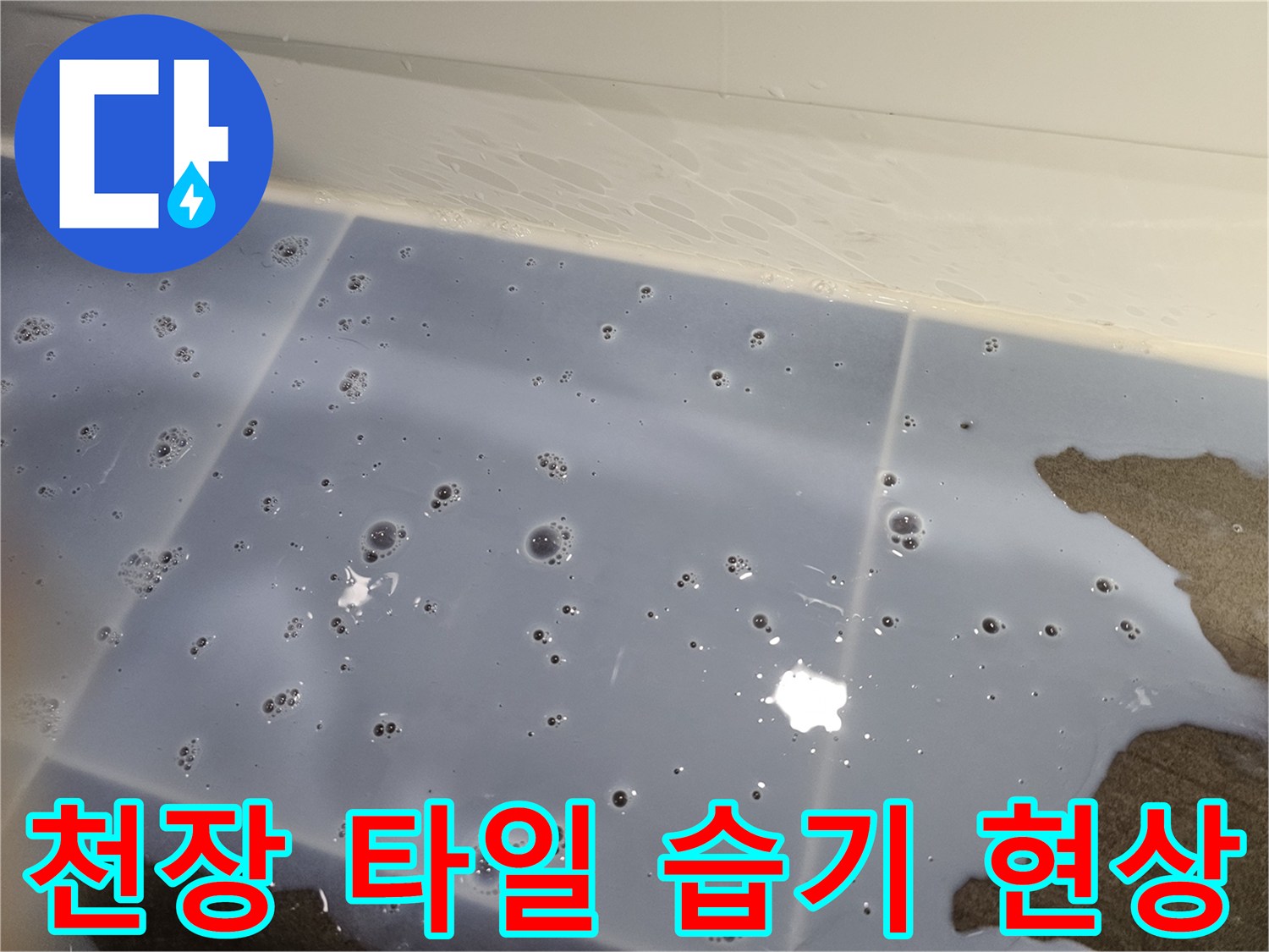 천장-타일-틈새에-맺힌-물방울과-습기