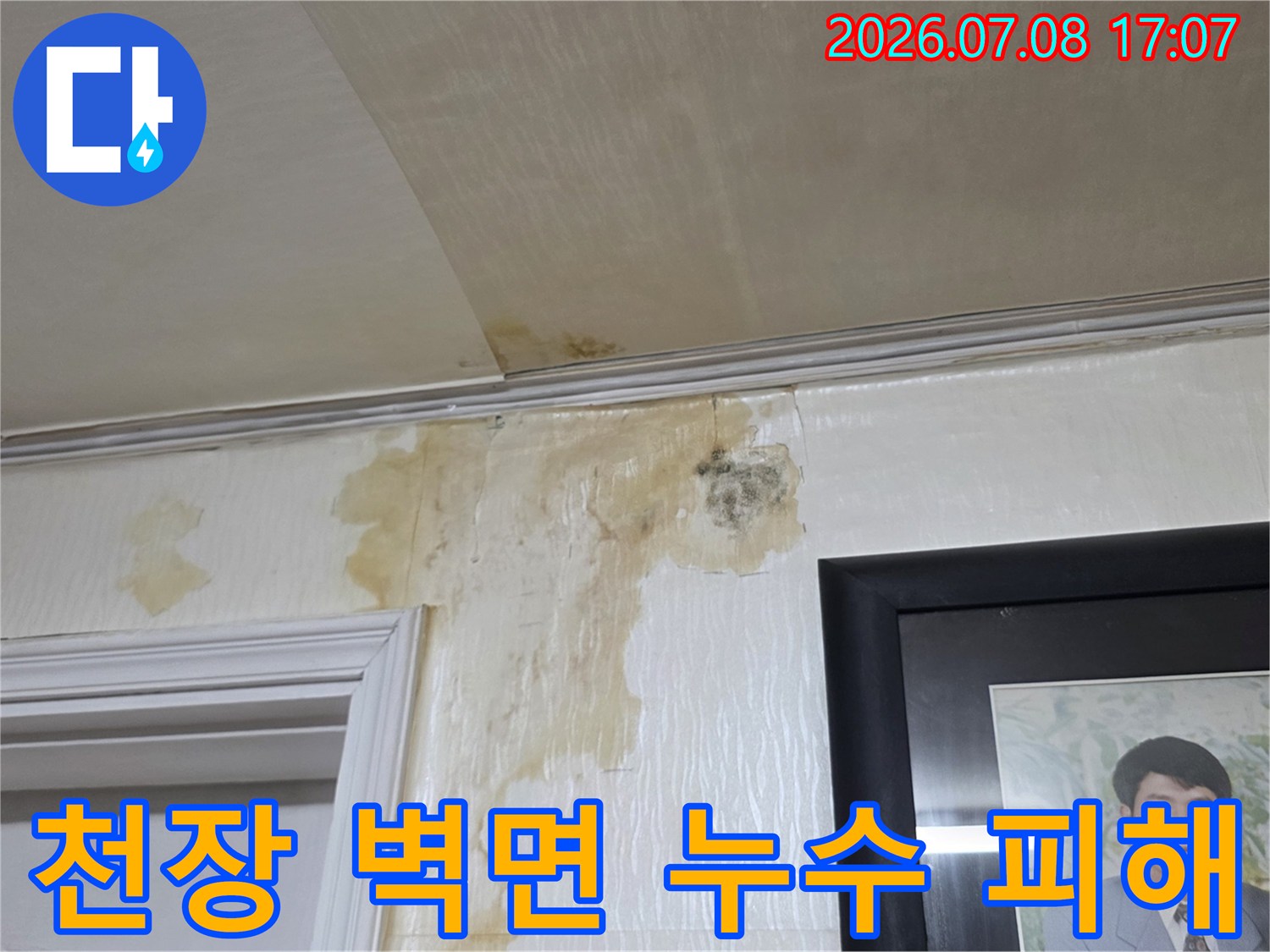 벽면과 천장에 번진 누수 얼룩 및 곰팡이 발생 현장