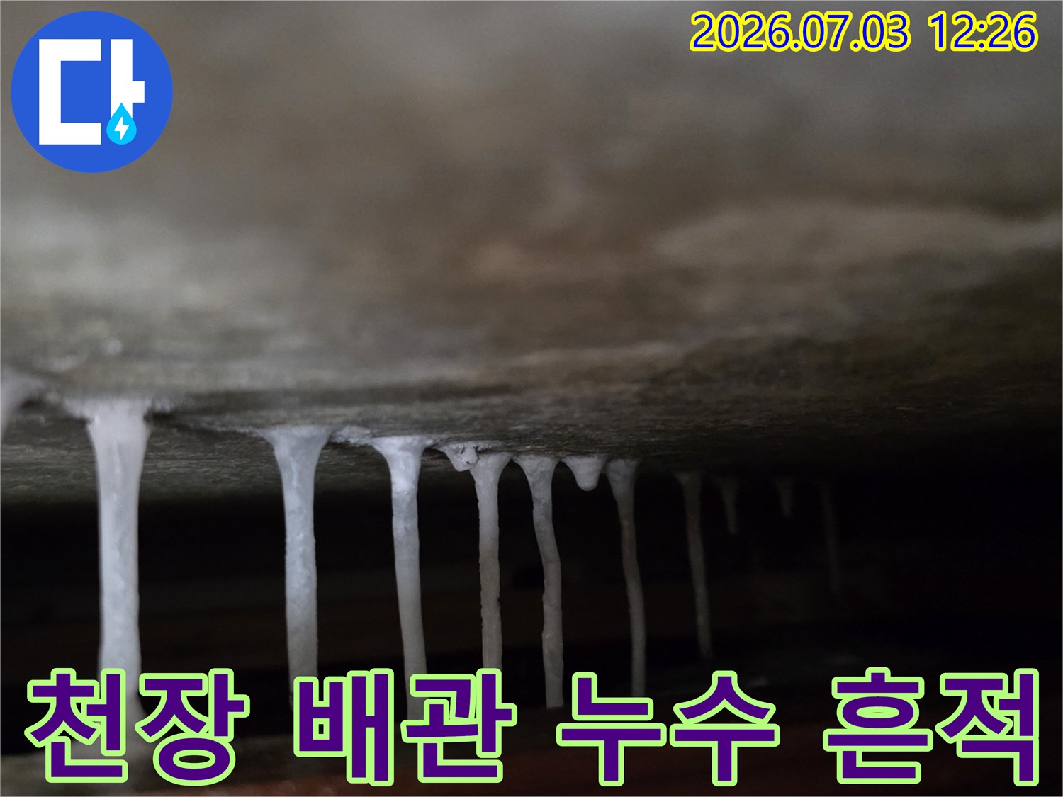 지속적인 물샘으로 인해 형성된 천장 내 백화 현상과 고드름 형태의 누수 증거