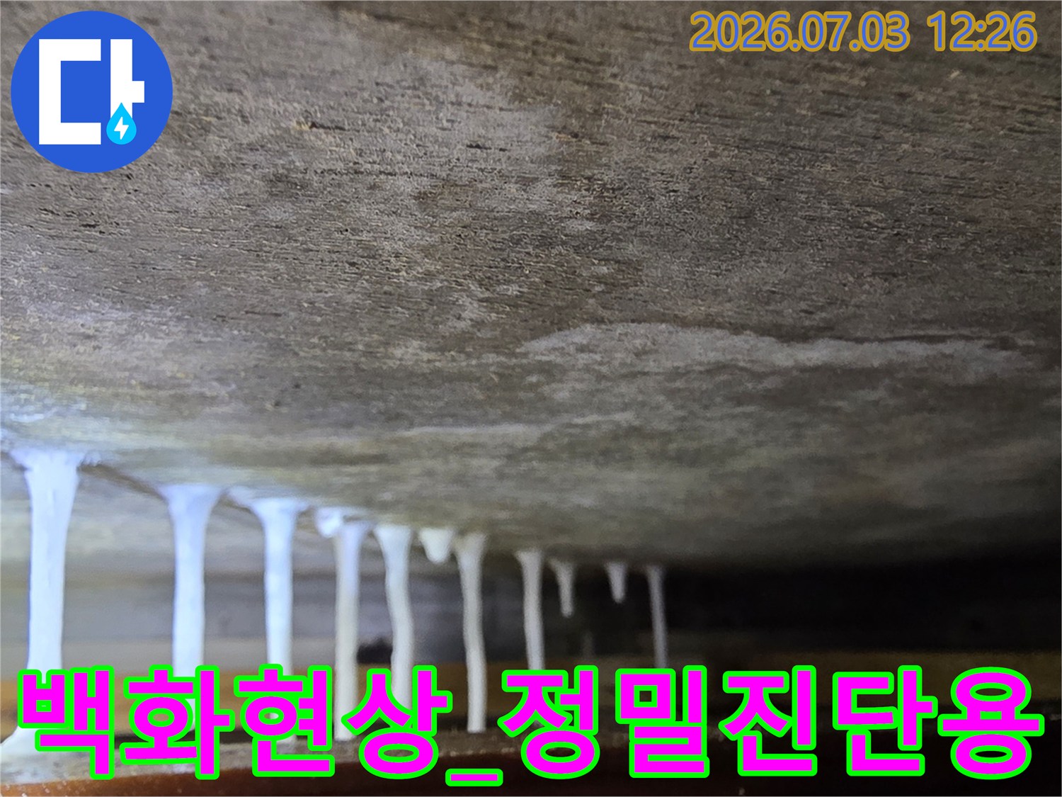 천장부 백화 현상과 고드름 흔적을 촬영한 정밀 점검 사진