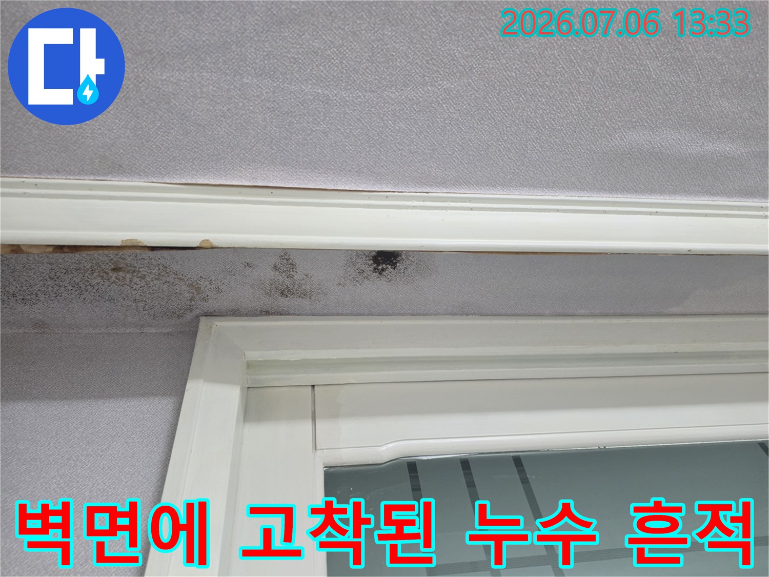 창호 하부 및 벽체 경계면에서 발견된 수분 침투에 의한 곰팡이 발생 부위